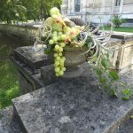 Petra Majhold Obst Blumen