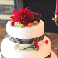 Petra Majhold Cake Thanksgiving