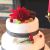 Petra Majhold Cake Thanksgiving